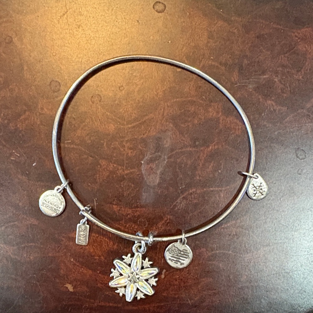 Alex and Ani Silver Charm Bracelet